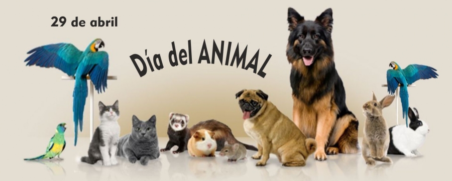 Abril 29 - Día del animal 2023